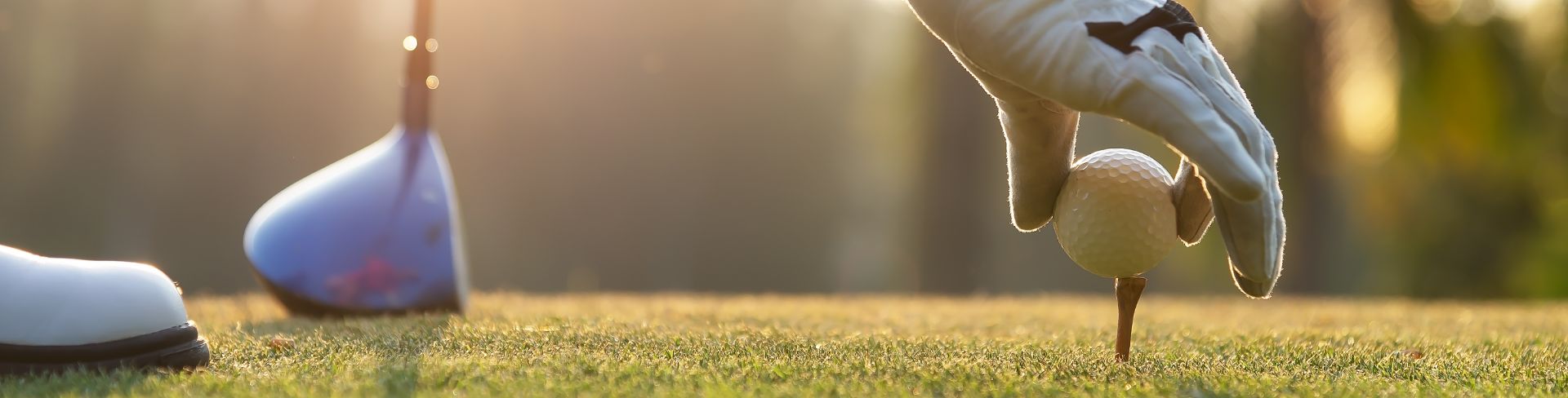 A close up of a golfer placing a golf ball on a tee.