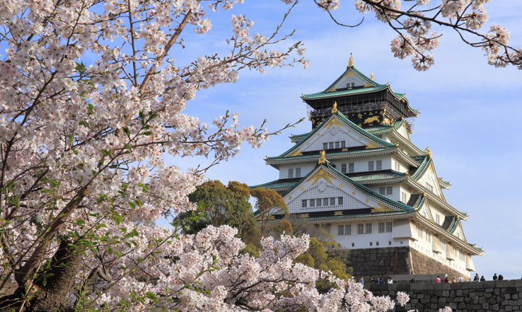 Osaka Castle, shown here surrounded by flowering cherry trees, is a museum detailing the building’s history and the city of Osaka.