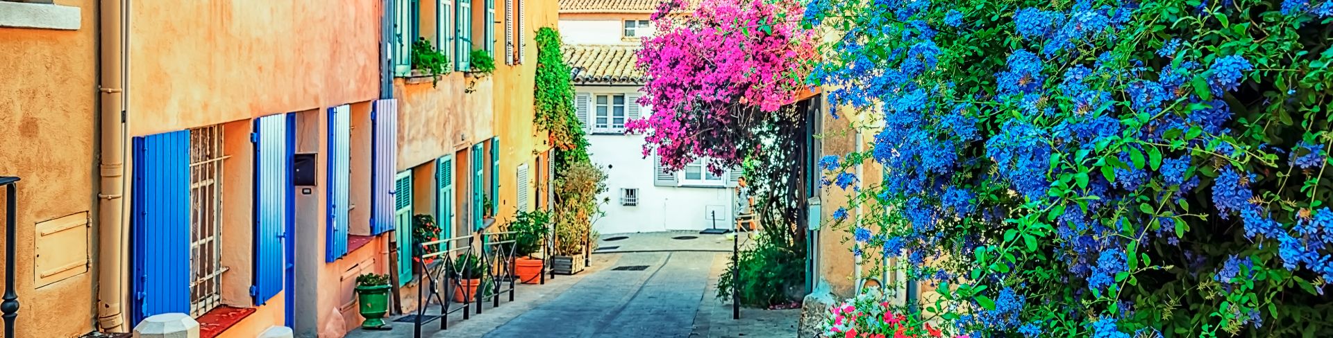 Blue and pink flowers line a charming residential street.
