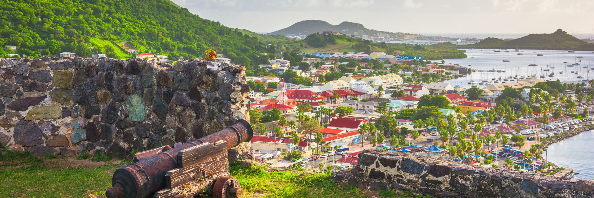 Cannons aim towards the ocean with a small buildings and bright greenery in the background.