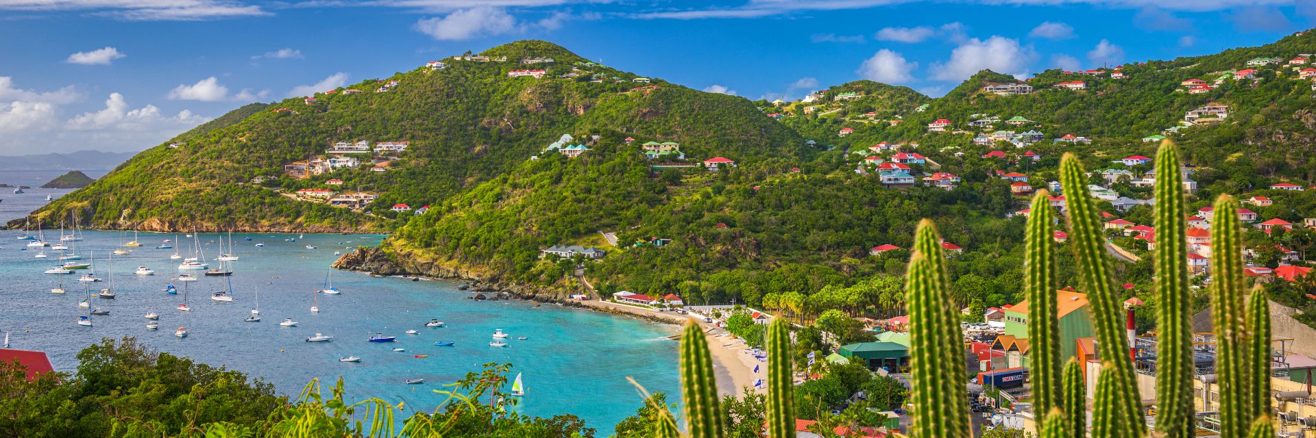 Bright blue skies sit above deep blue waters and tree-covered mountains.