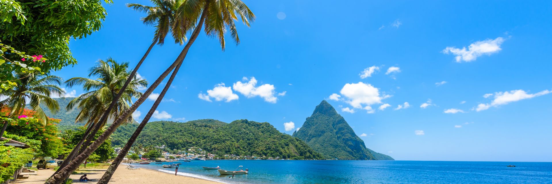 Palm trees lean over a bright, sandy beach with bright blue skies in the background.