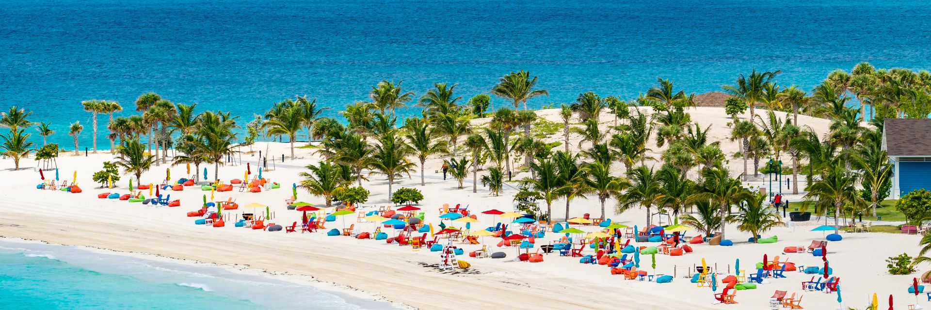 Trees dot a bright, sandy coastline meeting teal blue waters. 