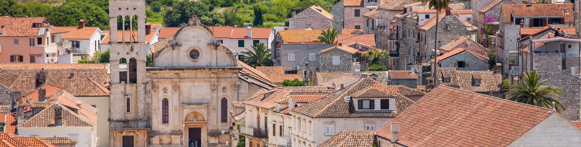 Terracotta rooftops sit before a densely wooded area.