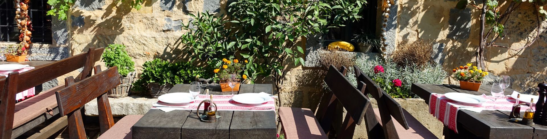 Benches and tables sit before a wall covered in wandering vines.
