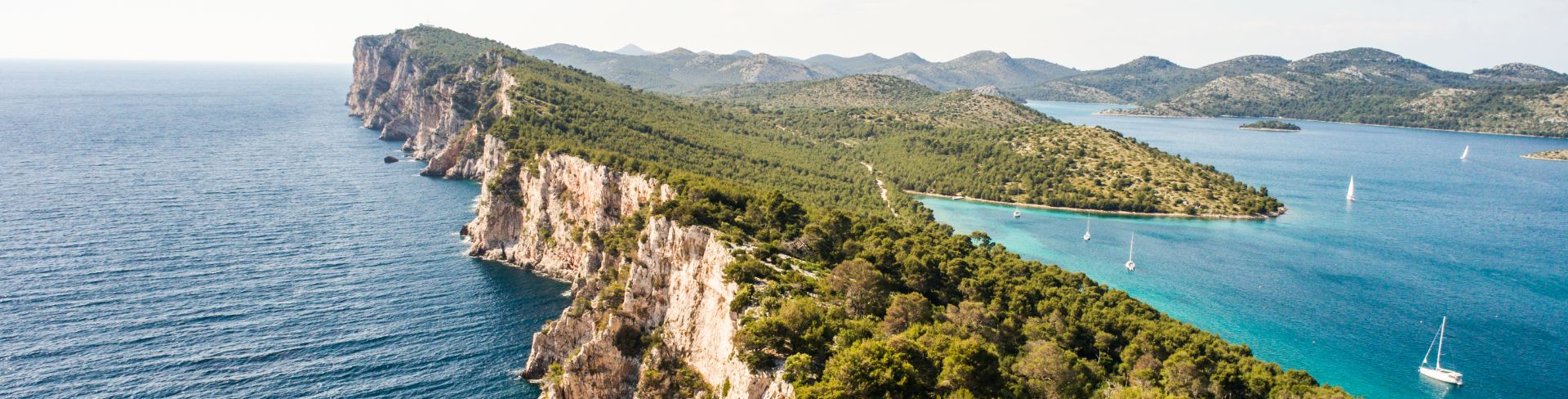 Trees dot a rocky cliff side.