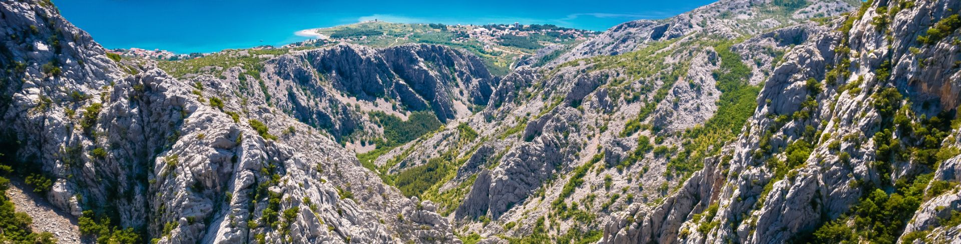 Trees dot a mountainside overlooking the water.