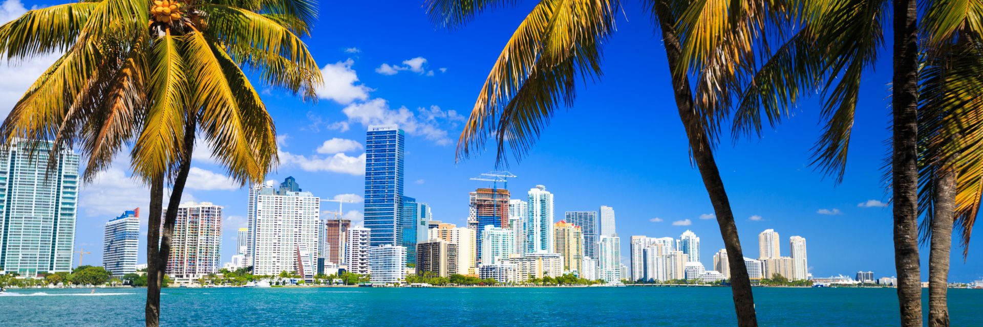 An image of Miami's skyline sitting behind palm trees and a deep blue waterway.