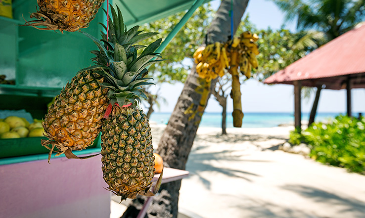 With a wide variety of local fruits and vegetables, it’s the chance to truly taste the topics, down to the freshly mixed cocktails.