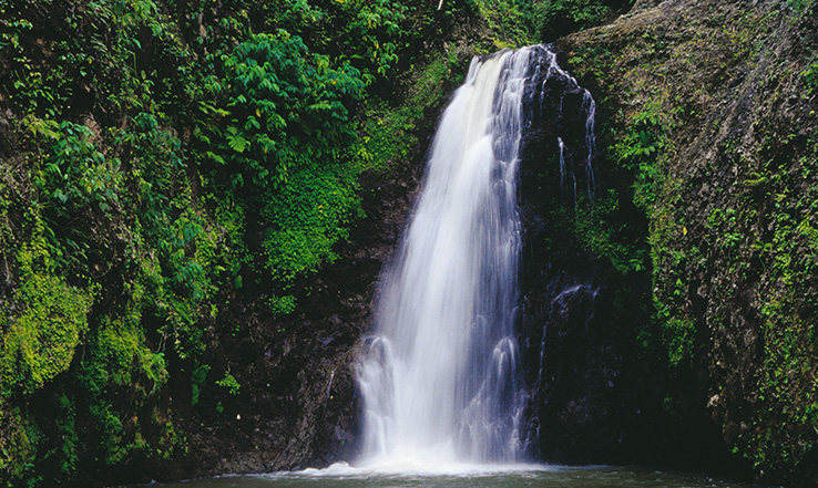 The lush mountains offer plenty of opportunities to hike, take in scenic views and explore natural rainforests.