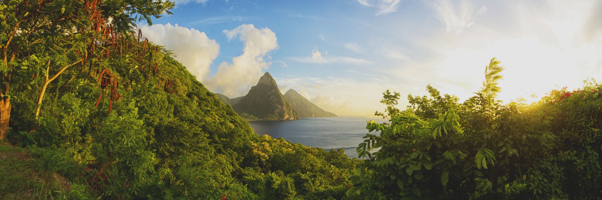 Mountains peak out of the water seen between a break in a tree canopy.