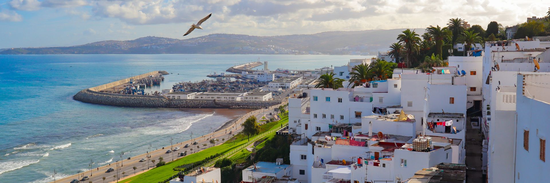White buildings line a hillside overlooking a waterway.