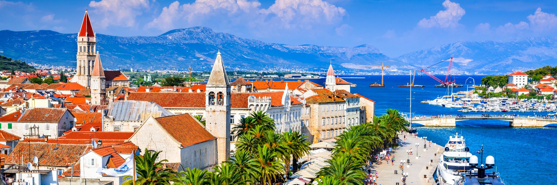 People walk a tree dotted promenade along the waterfront.