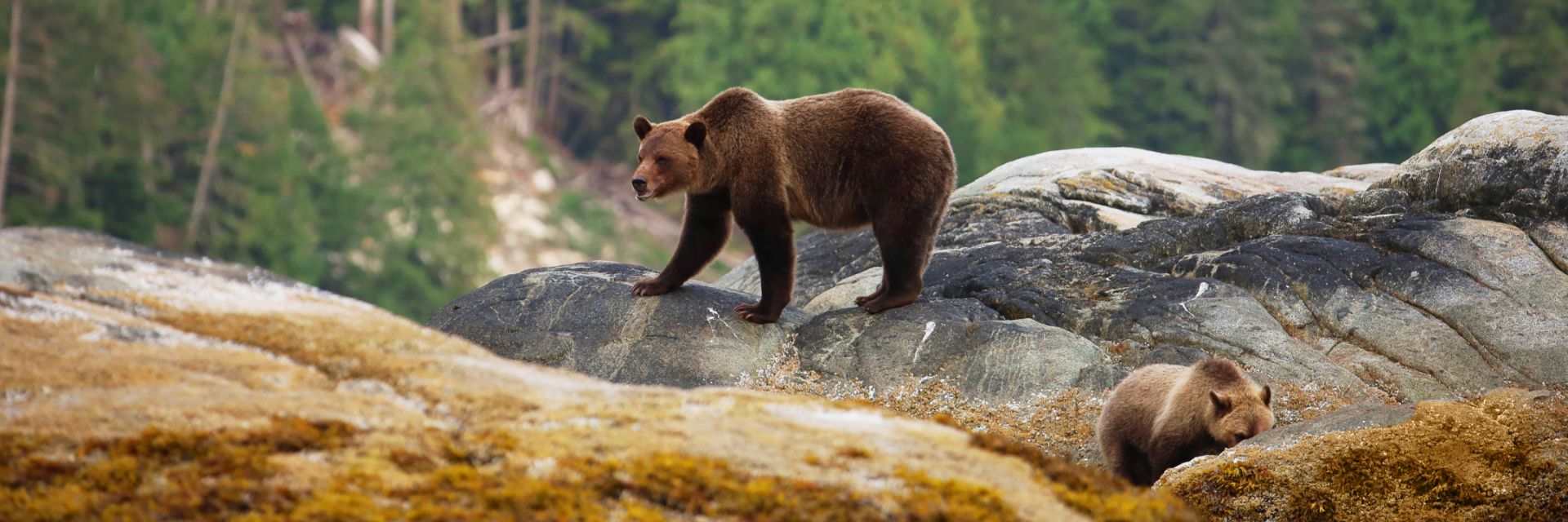 Prince Rupert, British Columbia, Canada