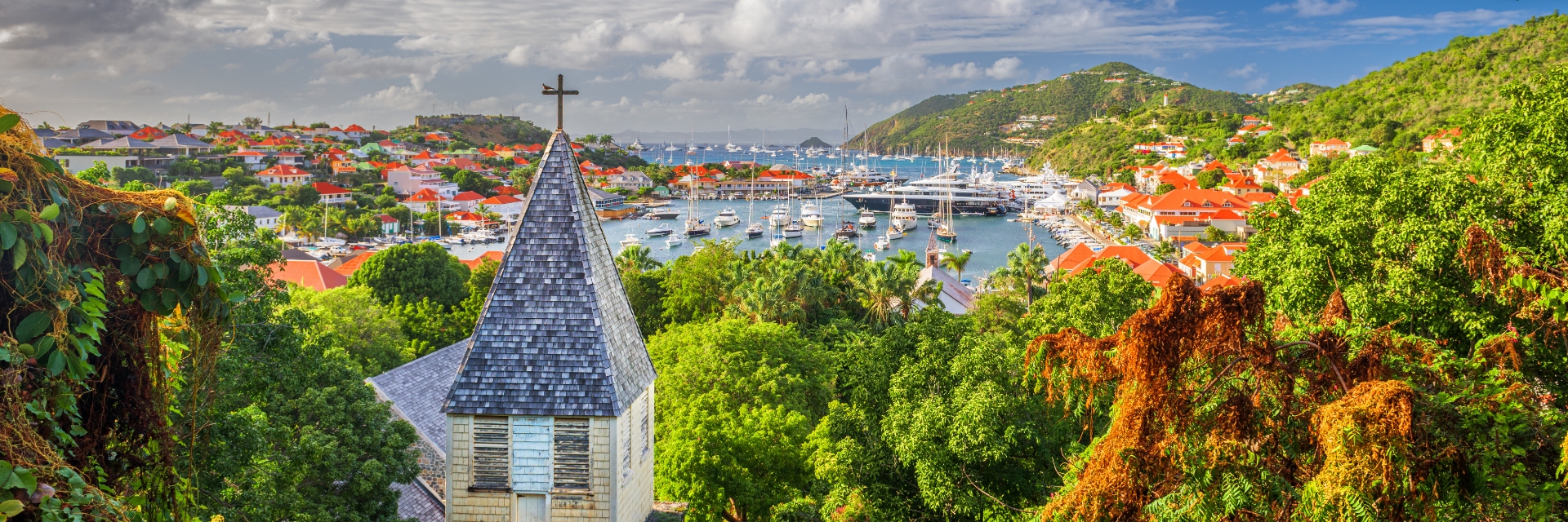Trees overlook a harbor