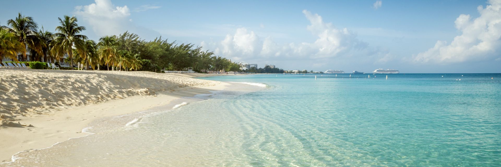 Beach with forest in background