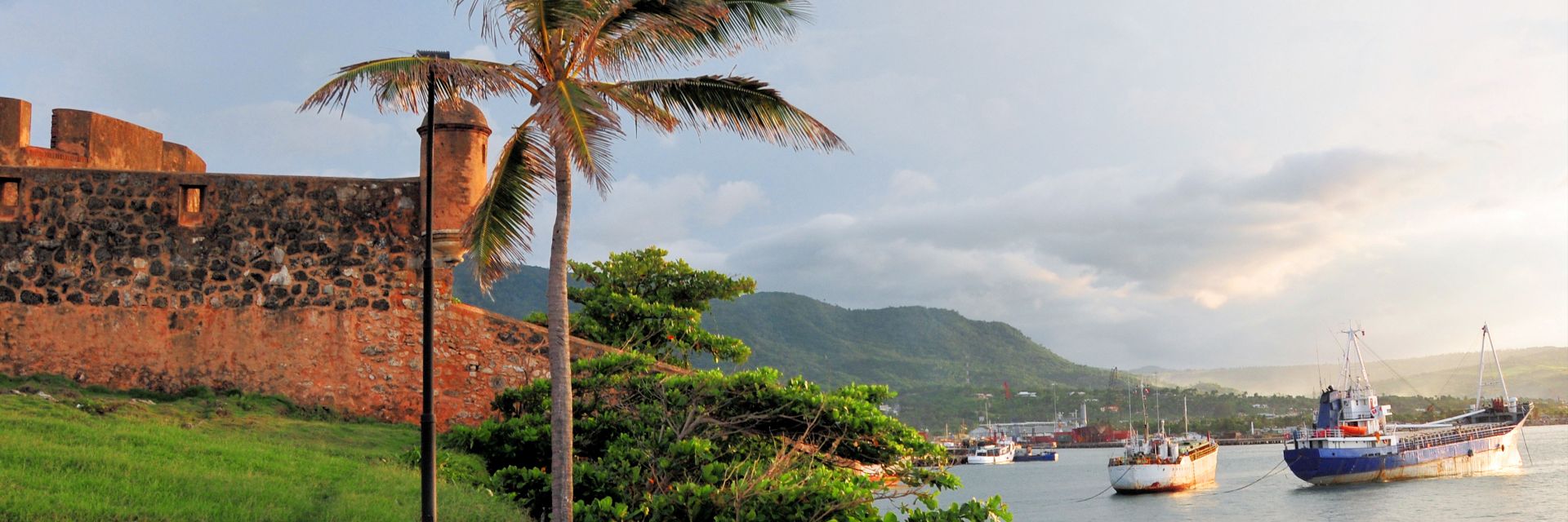 Palm trees with ocean and castle in background