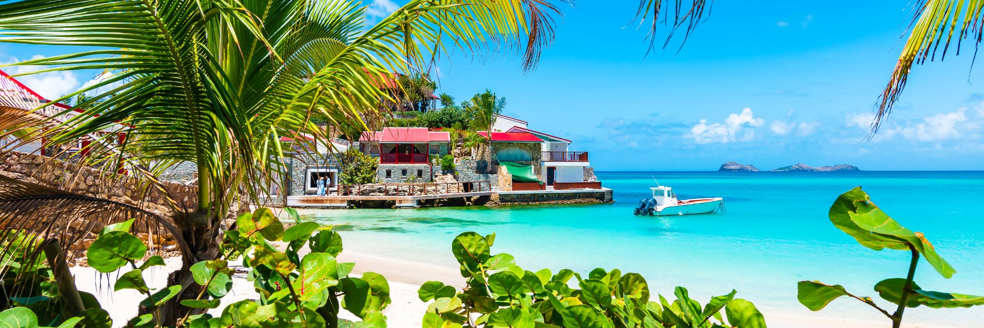 Trees with beach in background