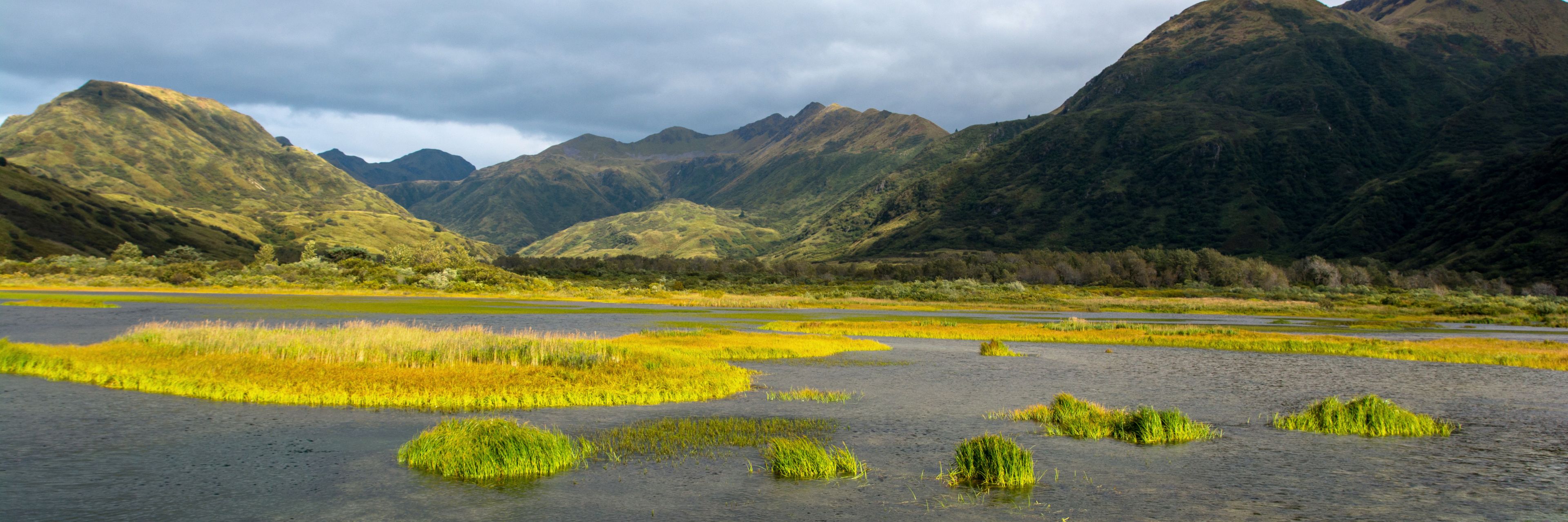 Bright green foliage tops a waterway sitting between mountains.