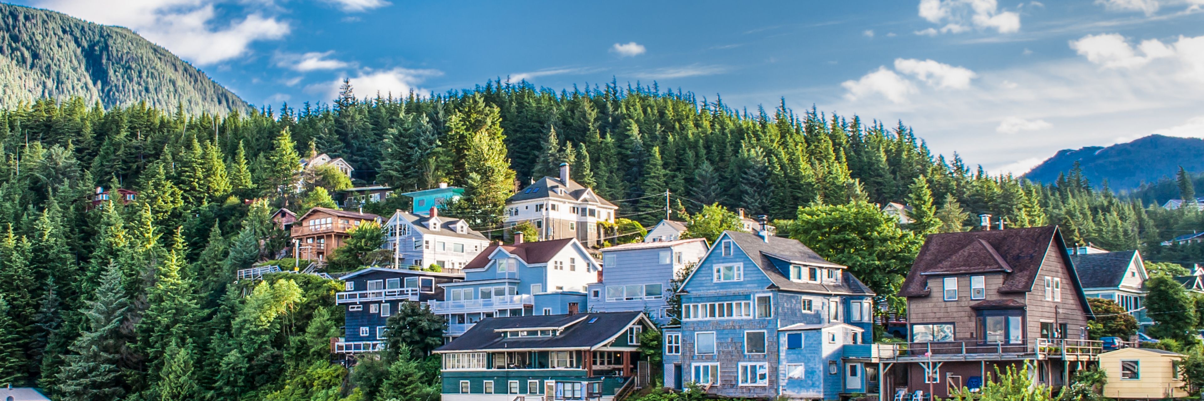 Colorful houses dot a tree covered hill.