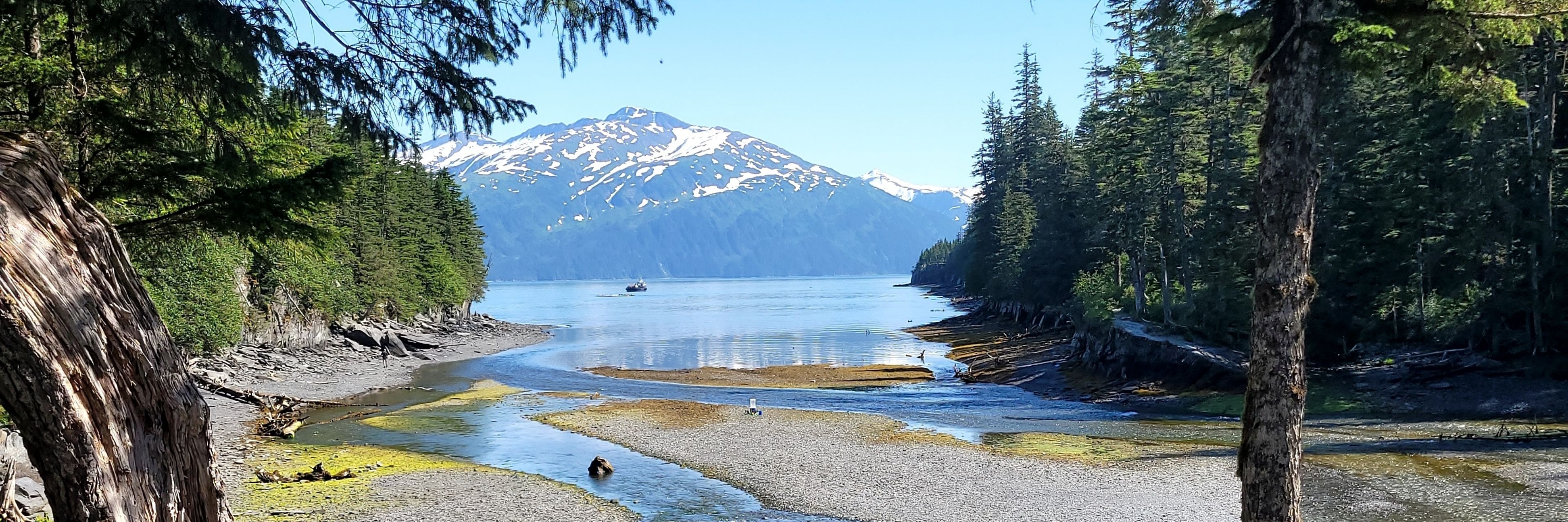 A snow capped mountain overlooks a calm waterway. 
