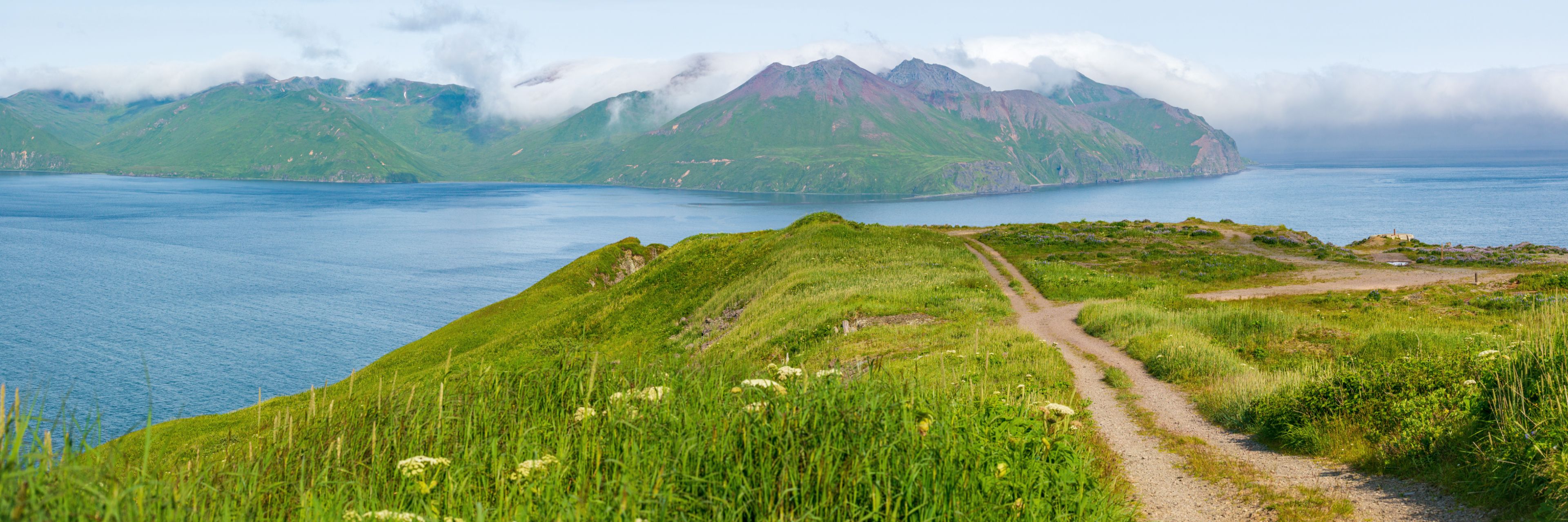 Bright green grass covers an island overlooking the deep blue ocean waters. 