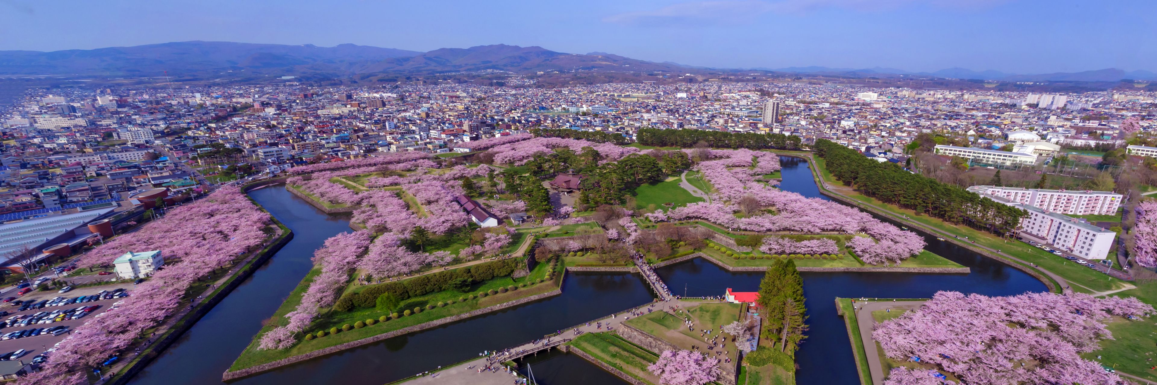 A birds-eye view of a heavily landscaped park.