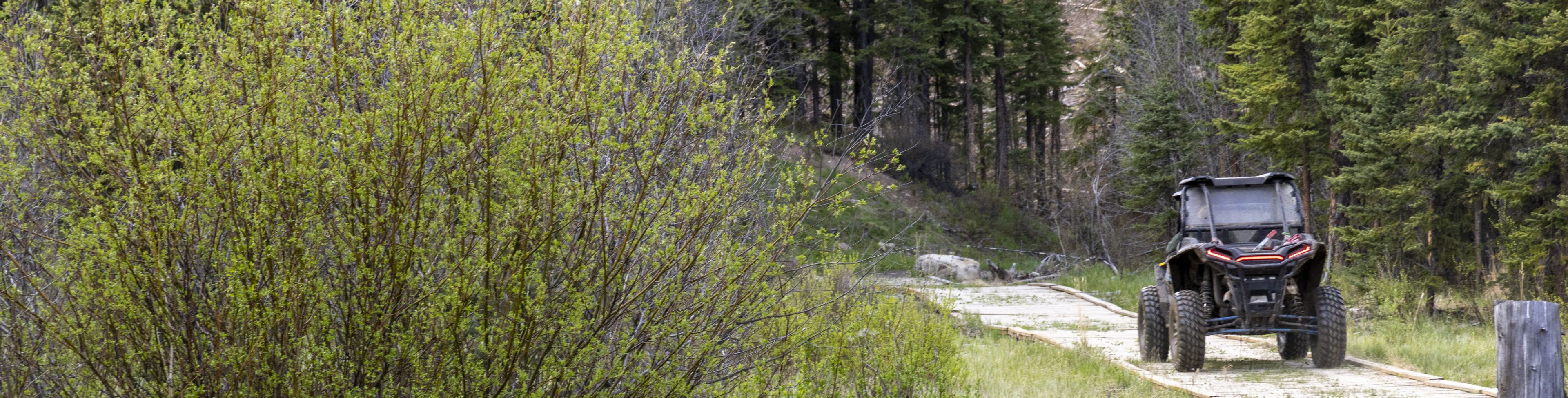 A buggy drives along a dirt path.