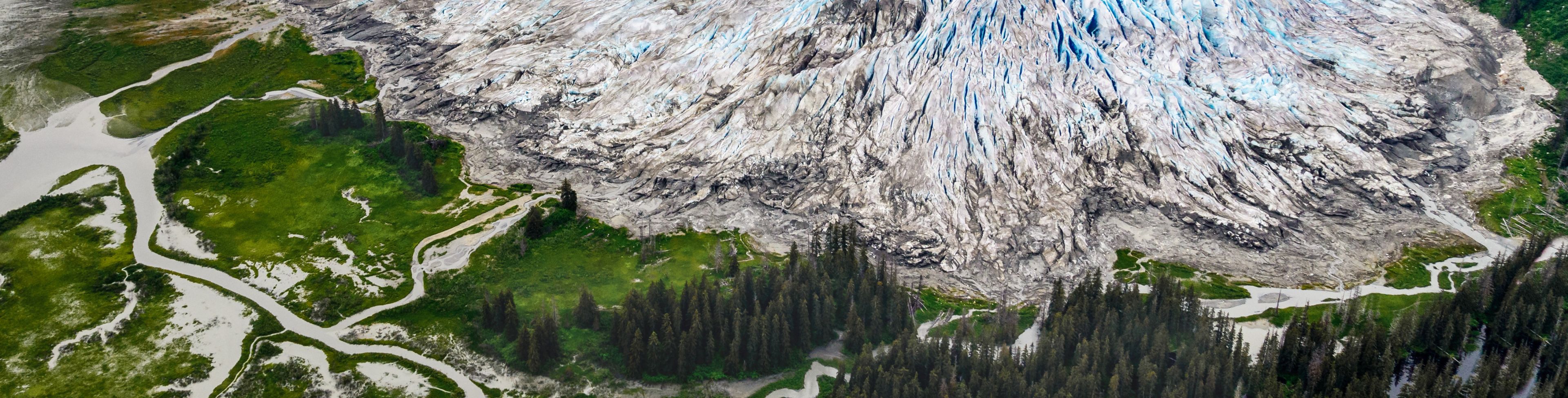 A large glacier surrounded by bright green grasses seen from above.