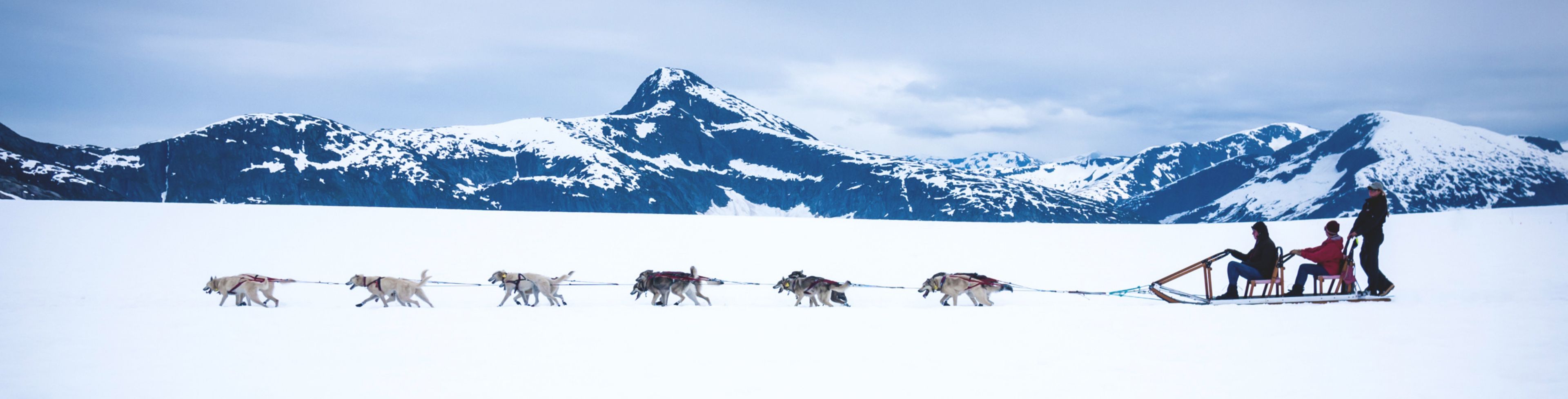 A dog sled glides across bright white snow lead by a pack of dogs.