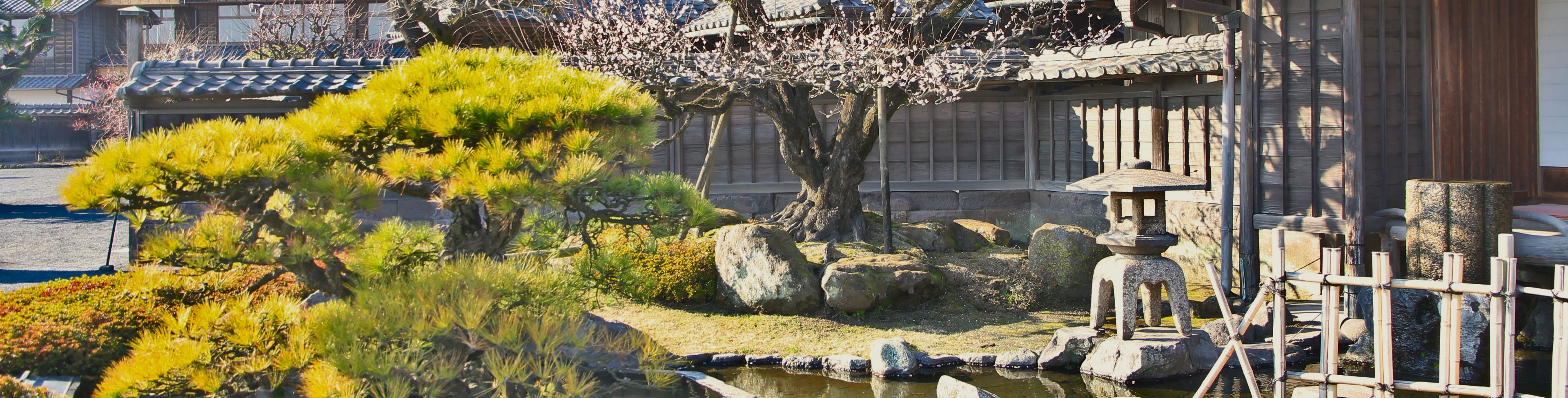 Japanese garden and temple. 