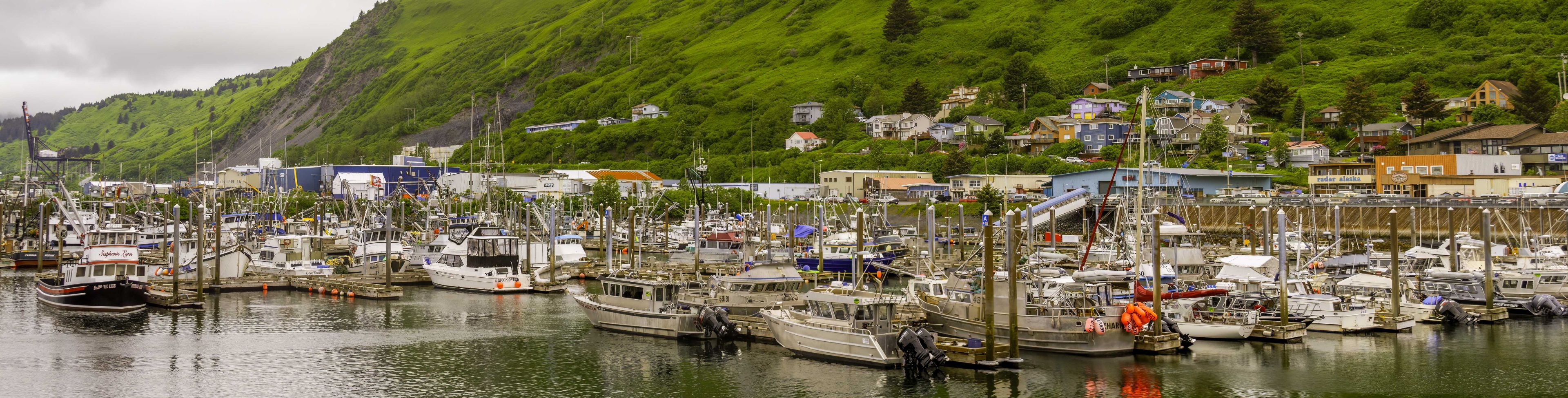 Marina of boats on the water. 