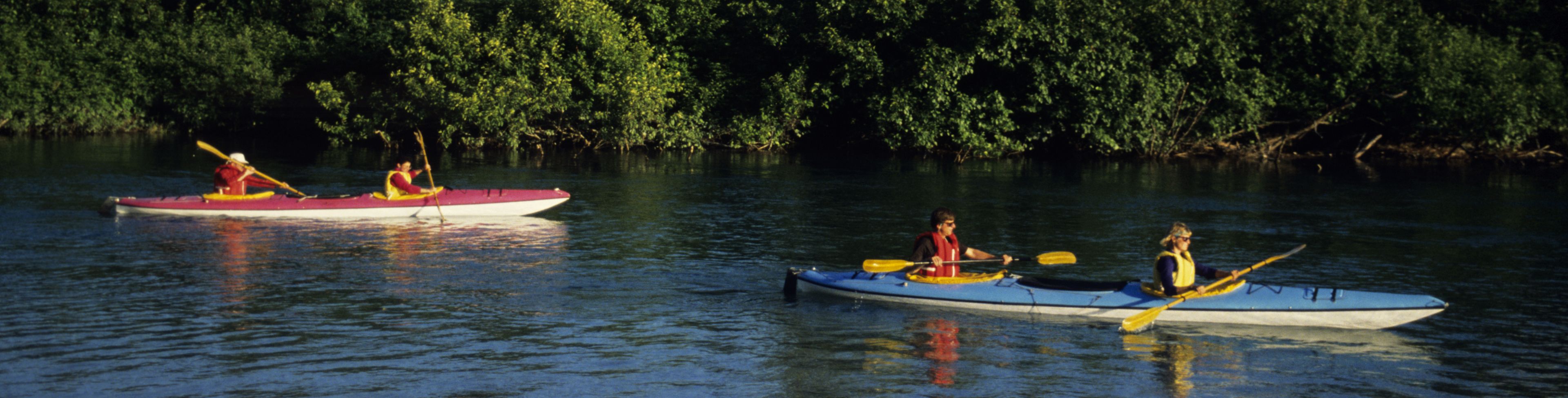 Two kayaks kayaking by an island. 