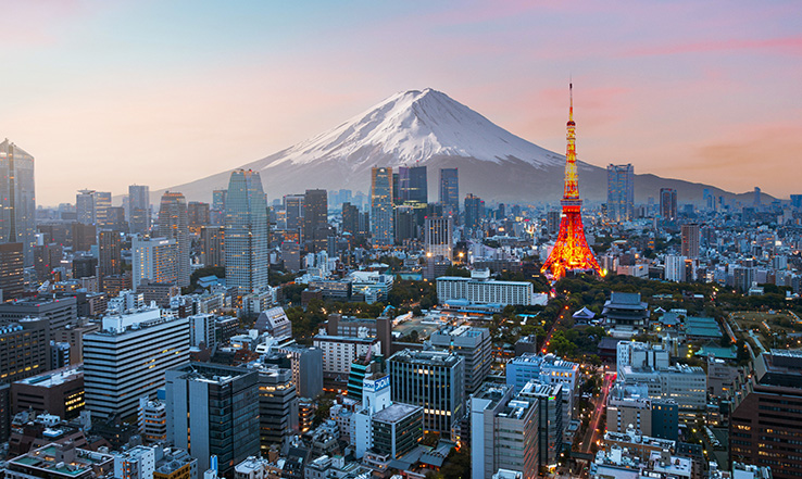 City and a mountain in the distance. 
