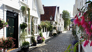 A cobblestoned street between rows of houses. 