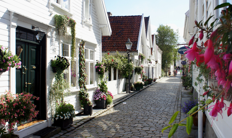 White buildings lining a cobble stone walkway with plants hanging and growing in front of the buildings. 