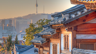 Building roofs and windows. 