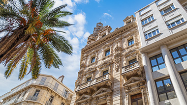 Buildings and a palm tree, with the blue sky in the background. 