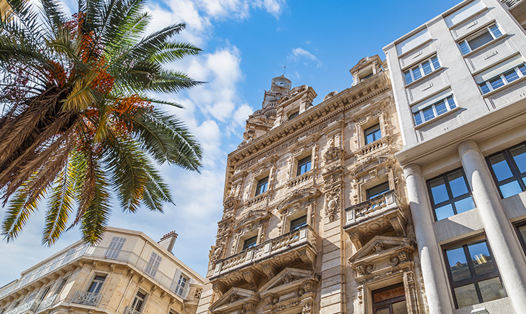 Buildings and a palm tree, with the blue sky in the background. 
