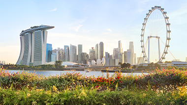 Skyscrapers and city scape in the distance. 