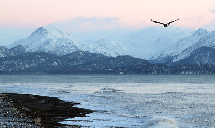 Bird flying over ocean, mountains in the distance.