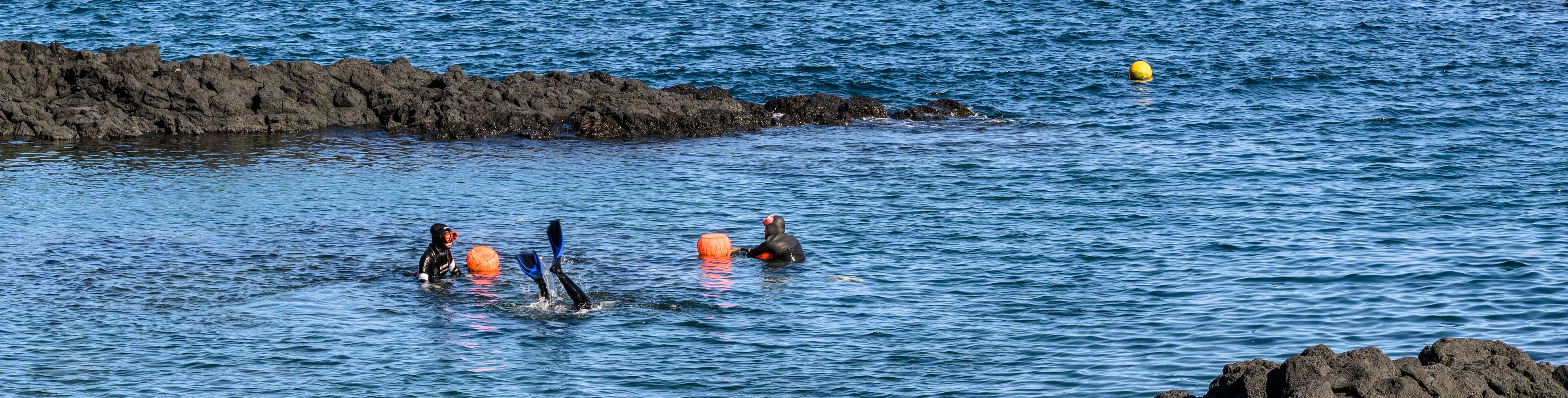 People diving in the ocean near the shore. 