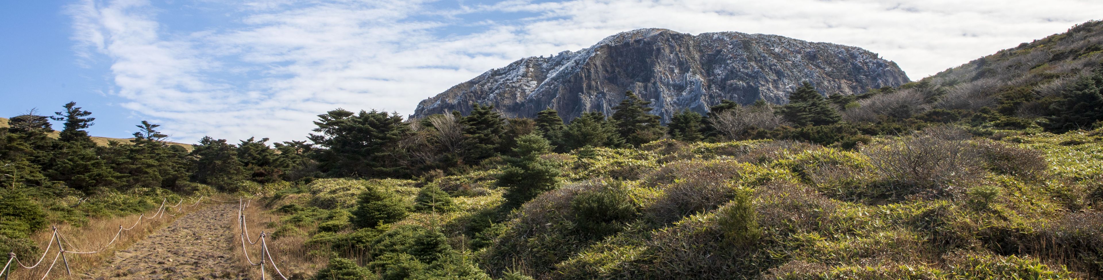 Trail with a bushes on the side of each trail with a mountain in the distance.