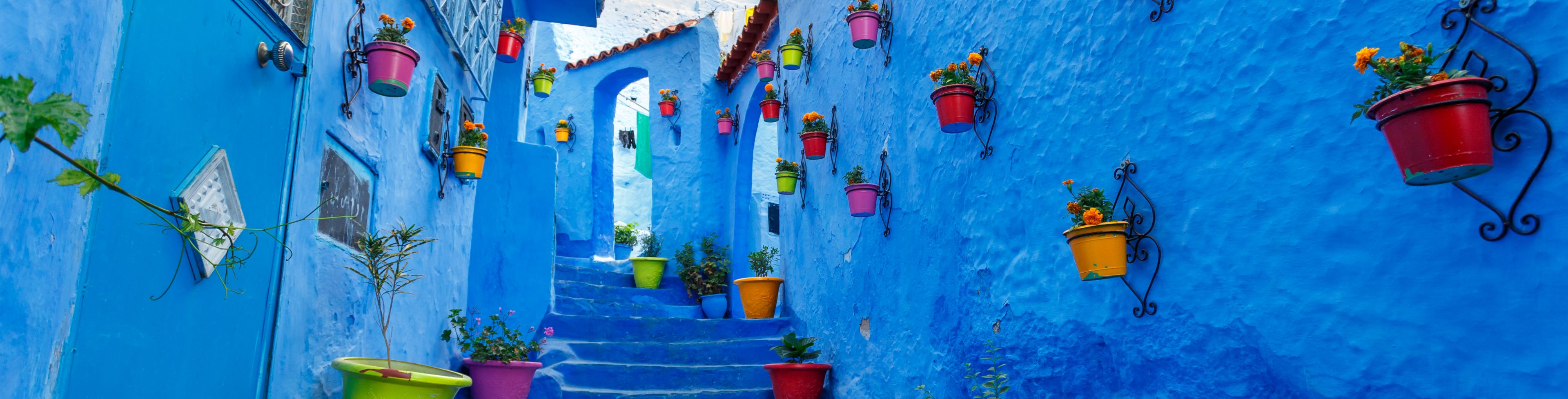 Blue stairway with blue walls, with pots of planted plants. 