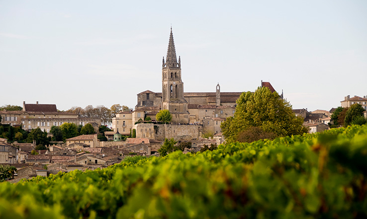 Castle and tower in the distance. 