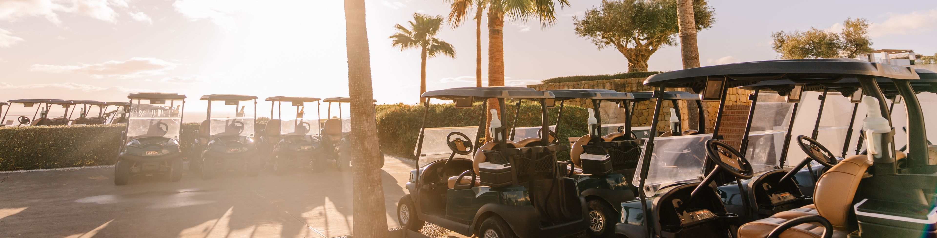 Golf carts parked underneath palm trees. 