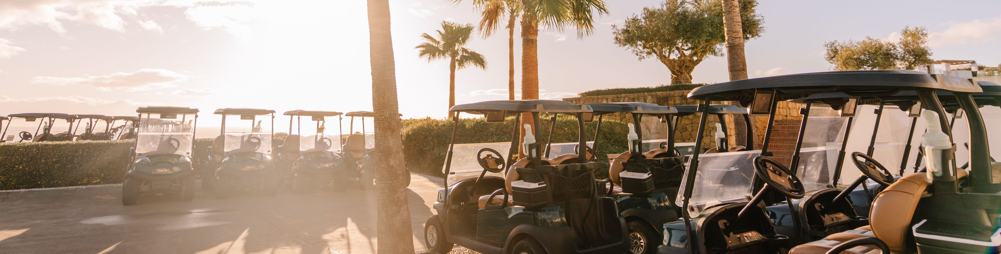Golf carts parked underneath palm trees. 