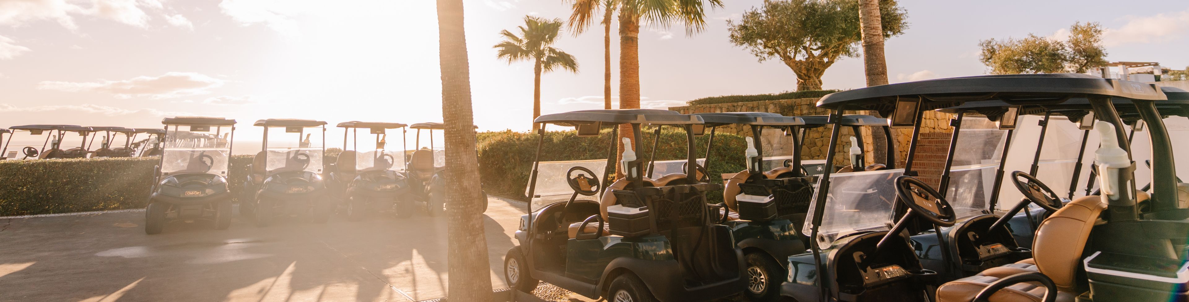 Golf carts parked underneath palm trees. 