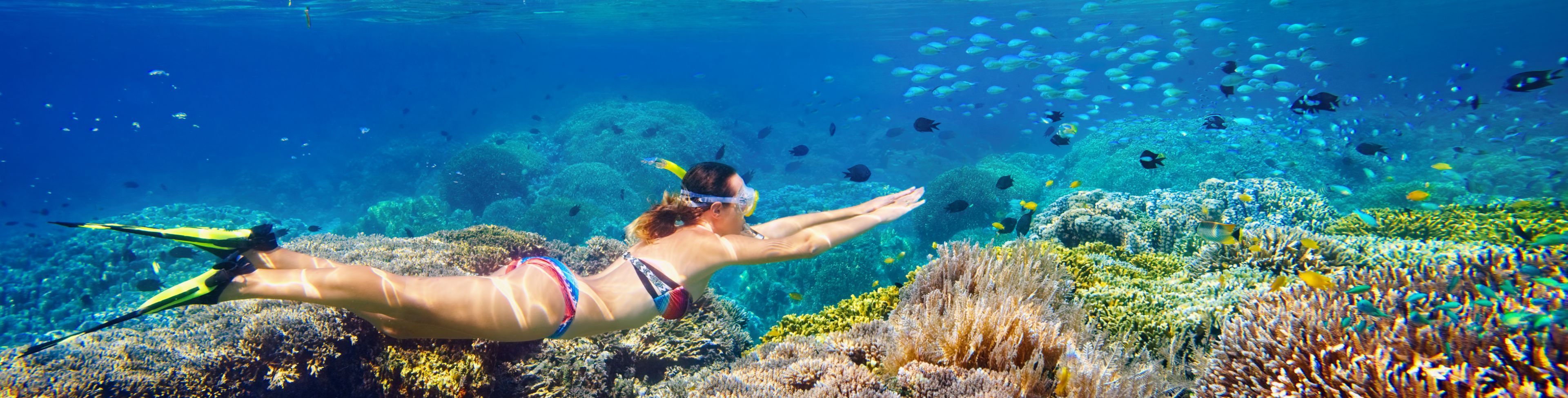 Woman snorkeling underwater in the ocean.