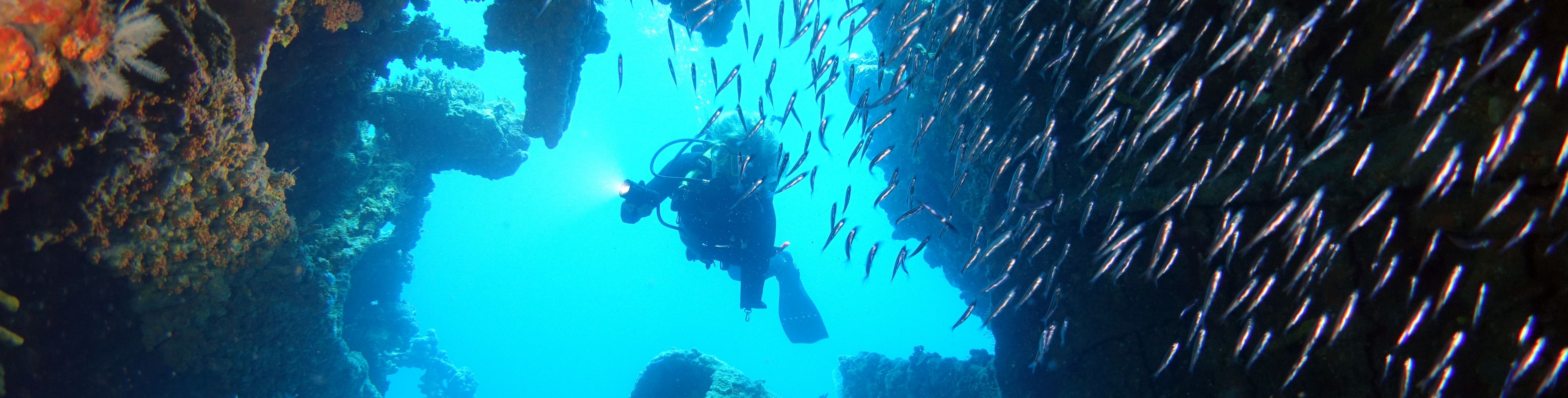 Scuba diver swimming in a coral reef in the ocean. 